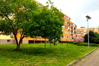 Тристаен апартамент в Добрич, Тервел