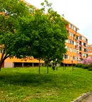Тристаен апартамент в Добрич, Тервел