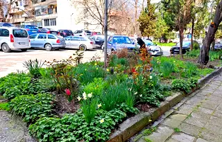 Тристаен апартамент с тераса в Аспарухово, Варна