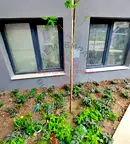 Едностаен апартамент в Център, Варна с югозападно изложение