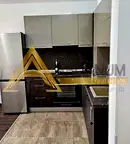 Двустаен апартамент във Варна, Виница