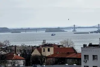 Едностаен апартамент във Видин, Химик