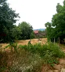 Парцел във Видин, Гара Орешец