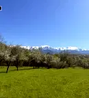 Парцел в Ловеч, Априлци