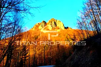 Парцел в Пловдив, Асенов