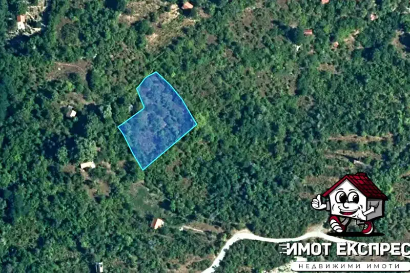 Парцел в Пловдив, Асенов