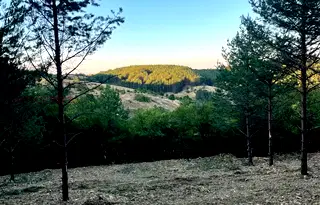 Парцел в Банкя