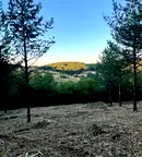 Парцел в Банкя