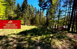 Парцел в Благоевград, Банско