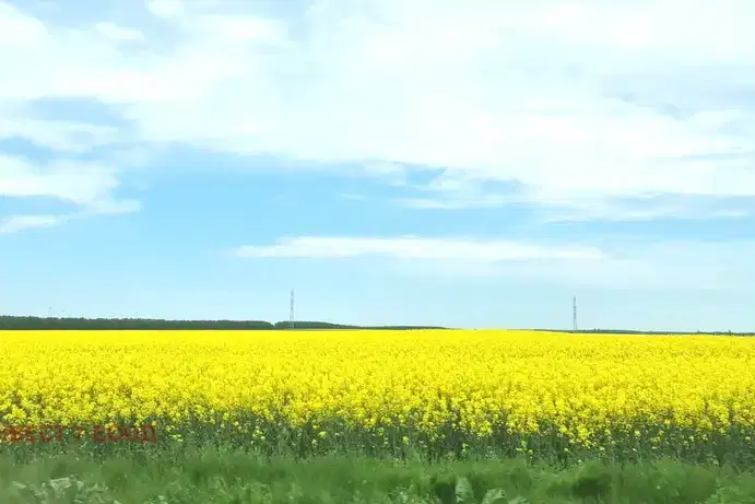 Парцел в Пазарджик, Батак