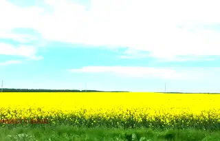 Парцел в Пазарджик, Батак