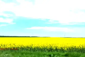 Парцел в Пазарджик, Батак