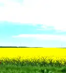 Парцел в Пазарджик, Батак