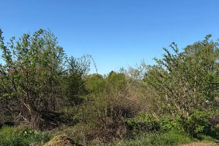 Plot in Oblast Vidin, Bregovo