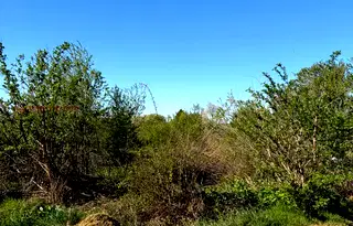 Парцел във Видин, Брегово