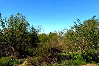 Парцел във Видин, Брегово