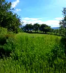 Парцел в Перник, Брезник