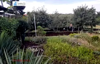 Парцел в Бургас, Банево