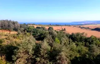 Парцел във Варна, Бяла