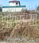 Парцел във Варна, Бяла