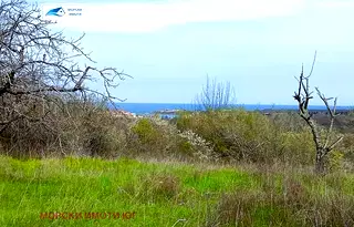 Парцел в Бургас, Царево
