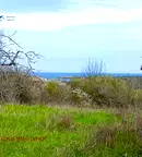 Парцел в Бургас, Царево