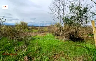 Парцел в Бургас, Царево