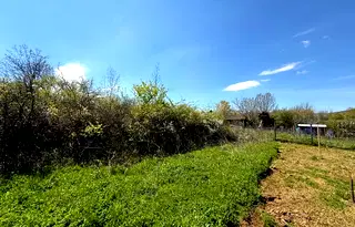 Парцел в Бургас, Царево