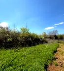 Парцел в Бургас, Царево