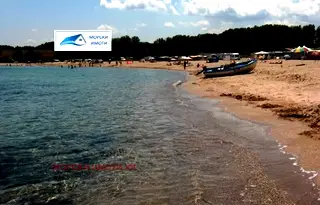 Парцел в Бургас, Царево