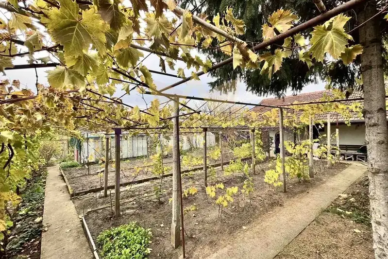 Plot in Dobrich, Gazibaba