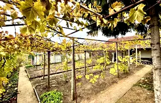 Парцел в Добрич, м-т Газибаба