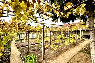 Парцел в Добрич, м-т Газибаба