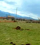Парцел в София, Долна баня