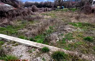 Парцел в София, Драгоман