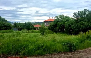 Парцел в София, Драгоман