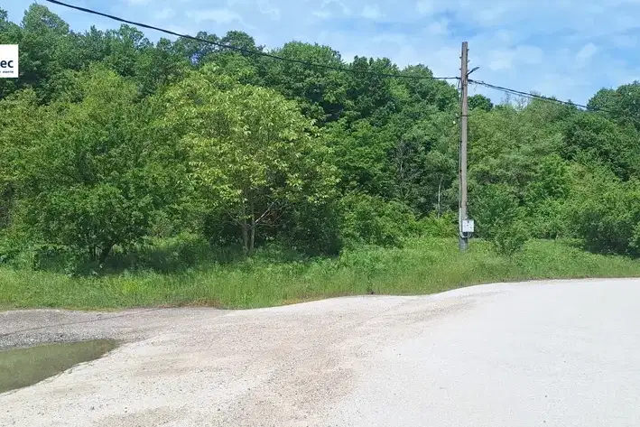 Plot in Oblast Veliko Tyrnovo, Elena