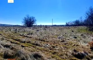 Парцел в София, Елин Пелин
