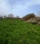 Парцел в София, Елин Пелин