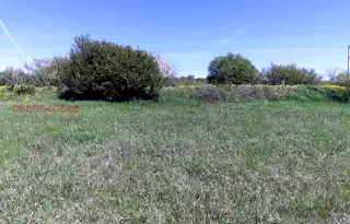 Парцел в София, Елин Пелин