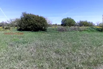 Парцел в София, Елин Пелин