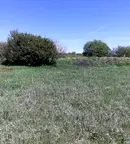 Парцел в София, Елин Пелин