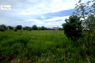 Парцел в София, Елин Пелин