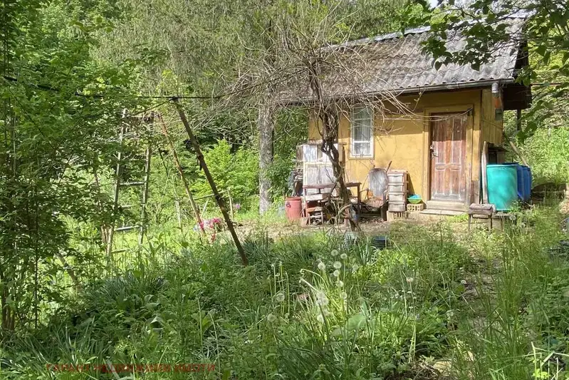 Plot in Gabrovo, Chehlevci