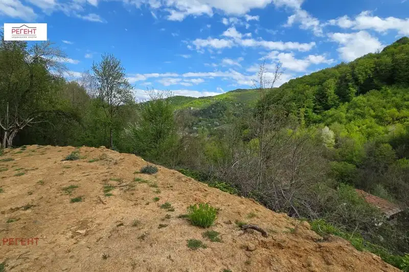 Plot in Gabrovo, Лютаци