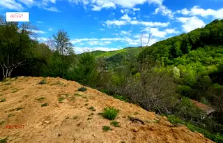 Парцел в Габрово, Лютаци