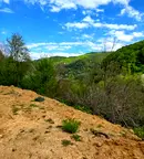 Парцел в Габрово, Лютаци