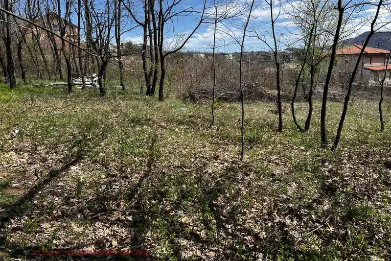 Plot in Gabrovo, Rusevci