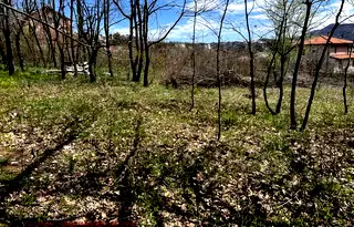 Парцел в Габрово, Русевци