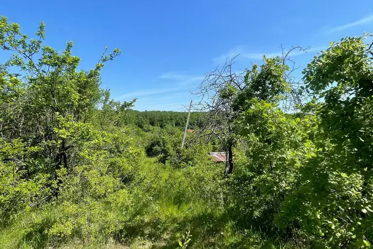 Plot in Haskovo, Lyuben Karavelov
